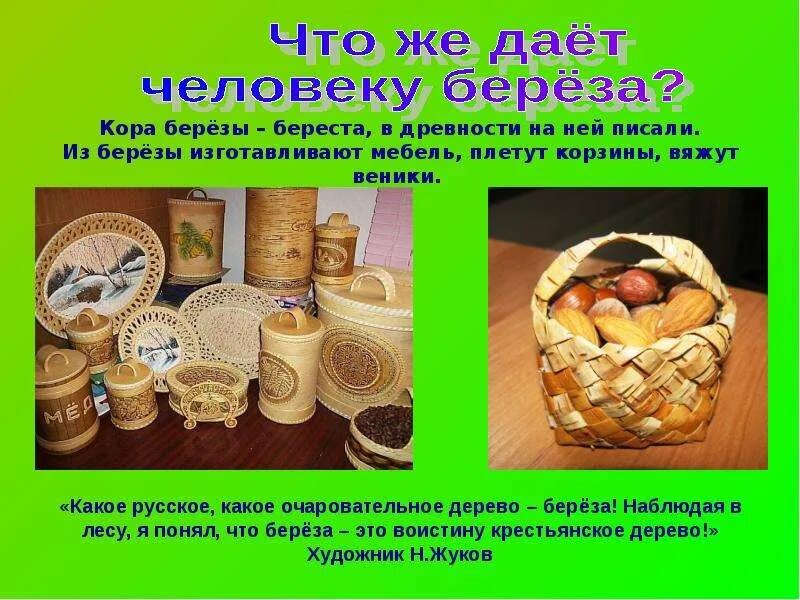 Свойства бересты как материала
