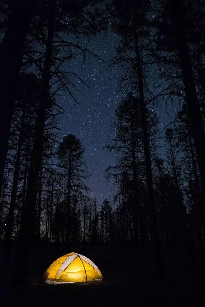 Палатка ночью фото. Ночь в палатке рассказ. Палатка ночь во внутрь. Палатка ночью. Ночь палатка костер.