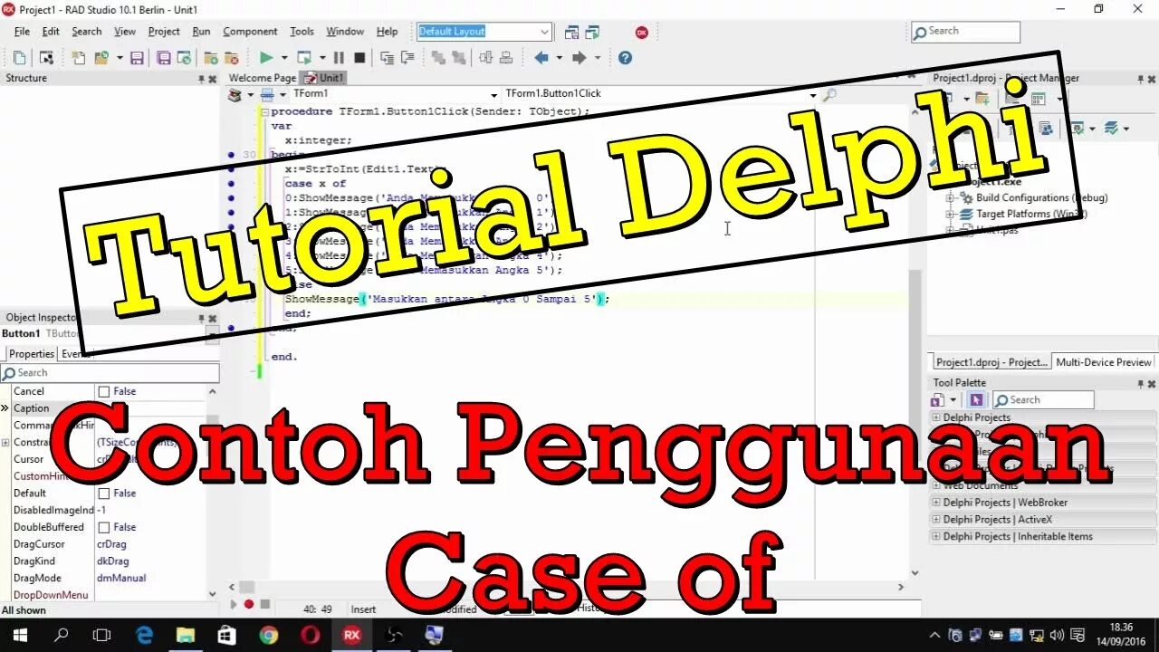 Case delphi. Case delphi