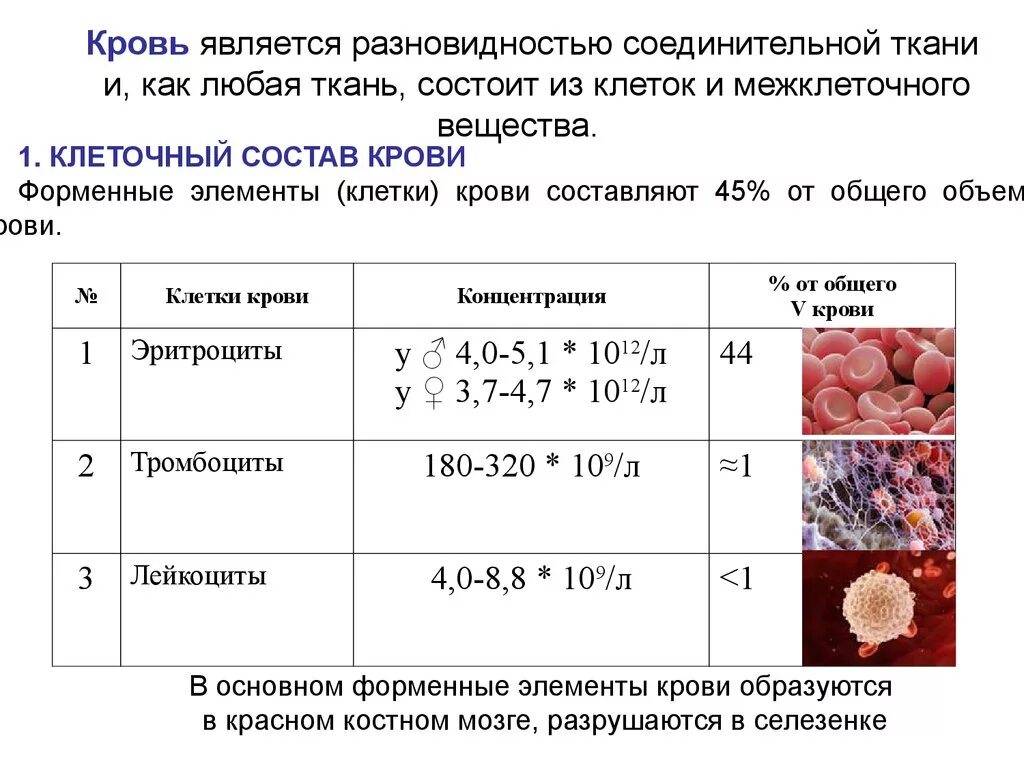 Сколько клеток крови