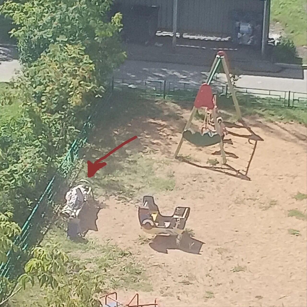 Чп дмитров типичный. Чп дмитров типичный