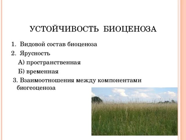 Приведите примеры биоценоза. Устойчивость биоценоза. Устойчивость экосистемы биоценоза. Условия устойчивости биоценоза. Причины устойчивости биоценоза.