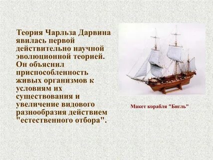 Дарвин путешествие на корабле