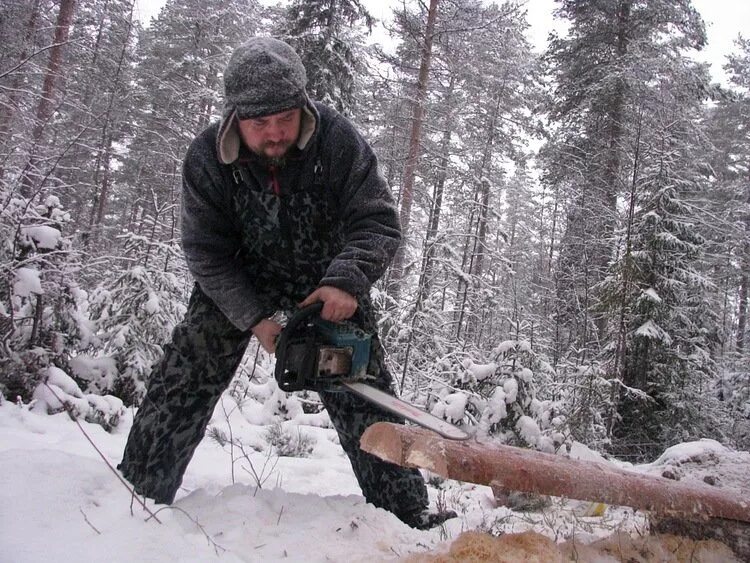 Труд людей в лесу. Человек в тайге. Деятельность человека в тайге. Труд человека в тайге. Занятия людей в тайге.