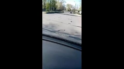 Подсмотрено великие луки