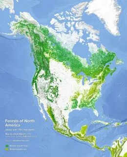 Северная америка д