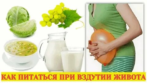 Газообразующие продукты