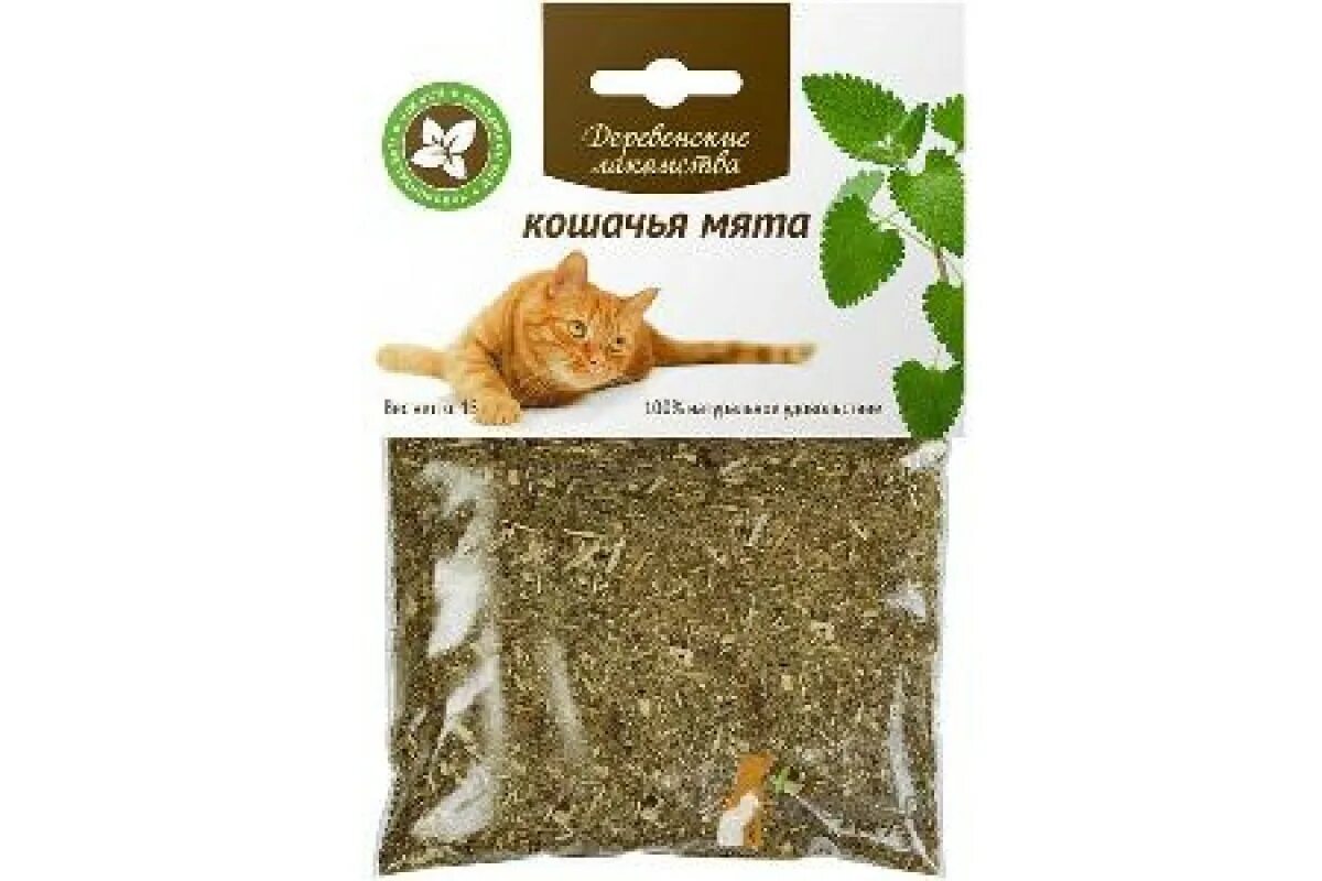 Как дать коту кошачью мяту