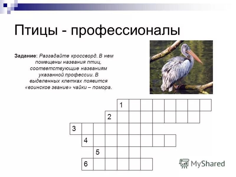 Задание разгадать кроссворд. Задание разгадать кроссворд