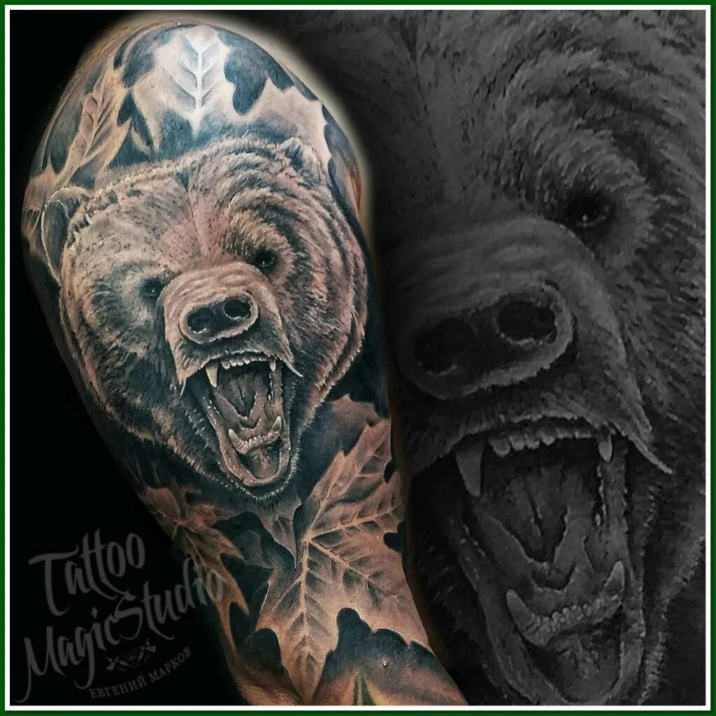 Оскал медведя тату. Оскал волка тату. Что значит оскал. Татуировки оскал медведя. Тату медведь для мужчин.