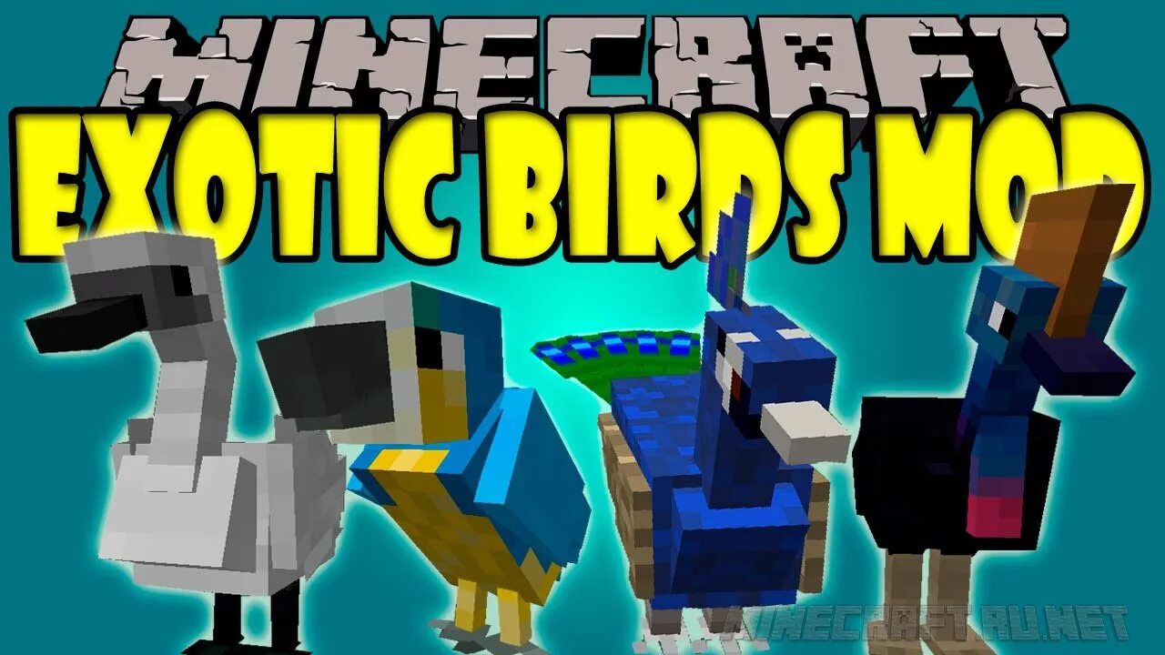 Minecraft birds. Мод на птиц в майнкрафт. Exotic Birds майнкрафт мод. Экзотические моды для майнкрафт. Птица майнкрафт.