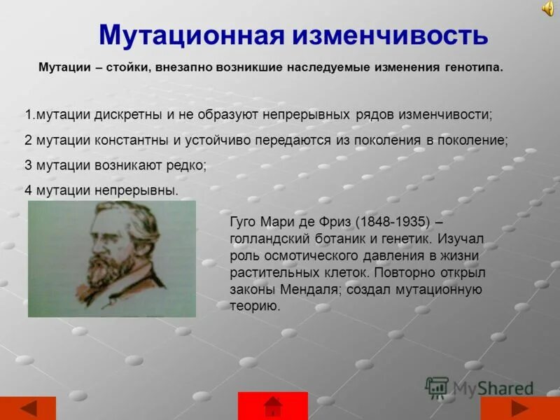 Мутационные изменения возникают