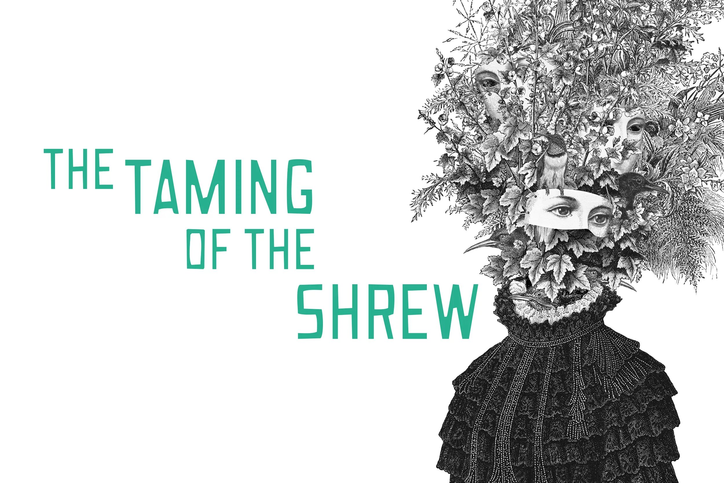 Taming of the Shrew Shakespeare. Шекспир Постер the Taming of the Shrew. The Taming of the Shrew book. The taming of the shrew