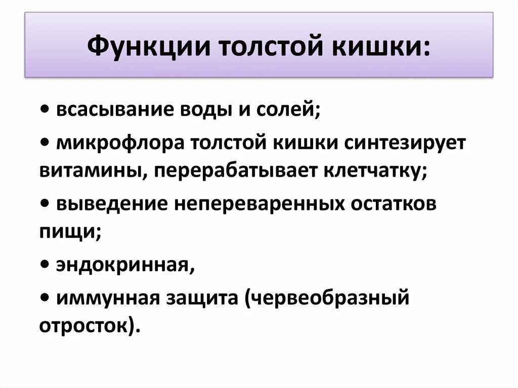 Каковы были его функции. Основная функция толстой кишки. Основная функция Толстого кишечника. 2 Функции Толстого кишечника. Перечислите основные функции Толстого кишечника.