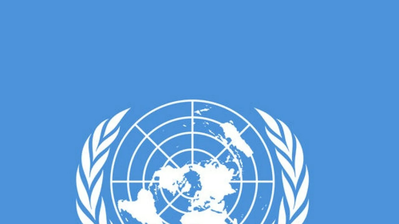 Прекращения огня оон. Операция страж стен. Заседание совбеза. Миротворцы оон в либерии 2003. Развитие китая.