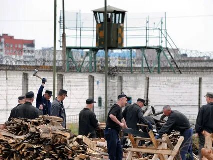 Трудоустройство осужденных к принудительным работам