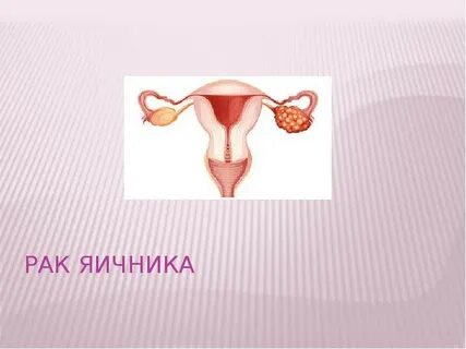 Яичники 40 лет