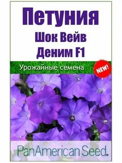 Шок деним