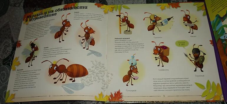 Схема слова муравьи. Сравни пчелу и муравья. Крем пчела и муравей. Схема муравейника. Толстой текст муравей
