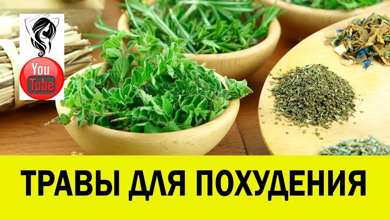 Какую траву чтобы похудеть