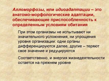 Какой пример относится