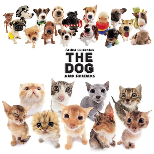 Artlist io. The dog collection игрушки. the dog artlist collection игрушки. the cat artlist collection игрушки. the dog собачки.