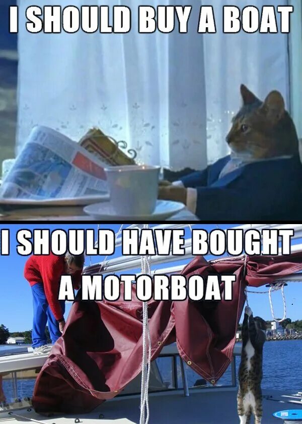 I should try. I should buy a boat cat. boat i should buy a boat. shall i. i should buy a boat прикол кот.