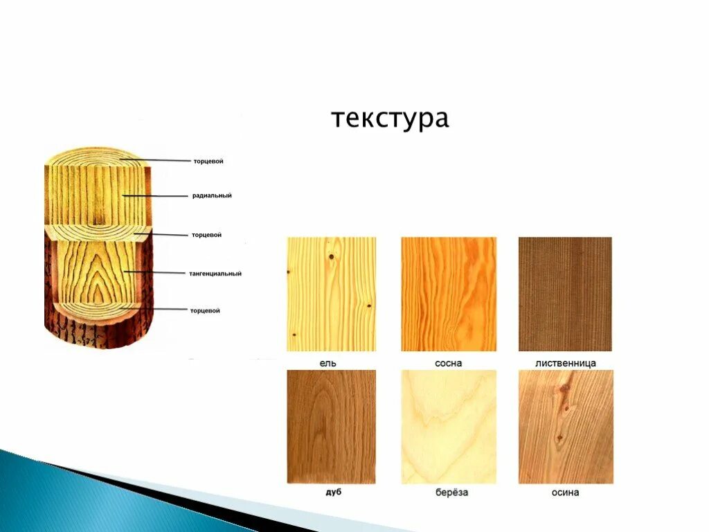 Презентация "Выжигание по дереву"