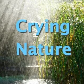 Natural compilation