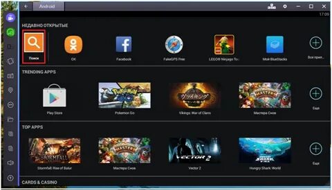 Bizon tv