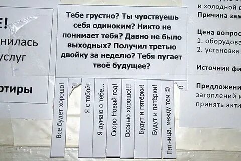 Причины зам