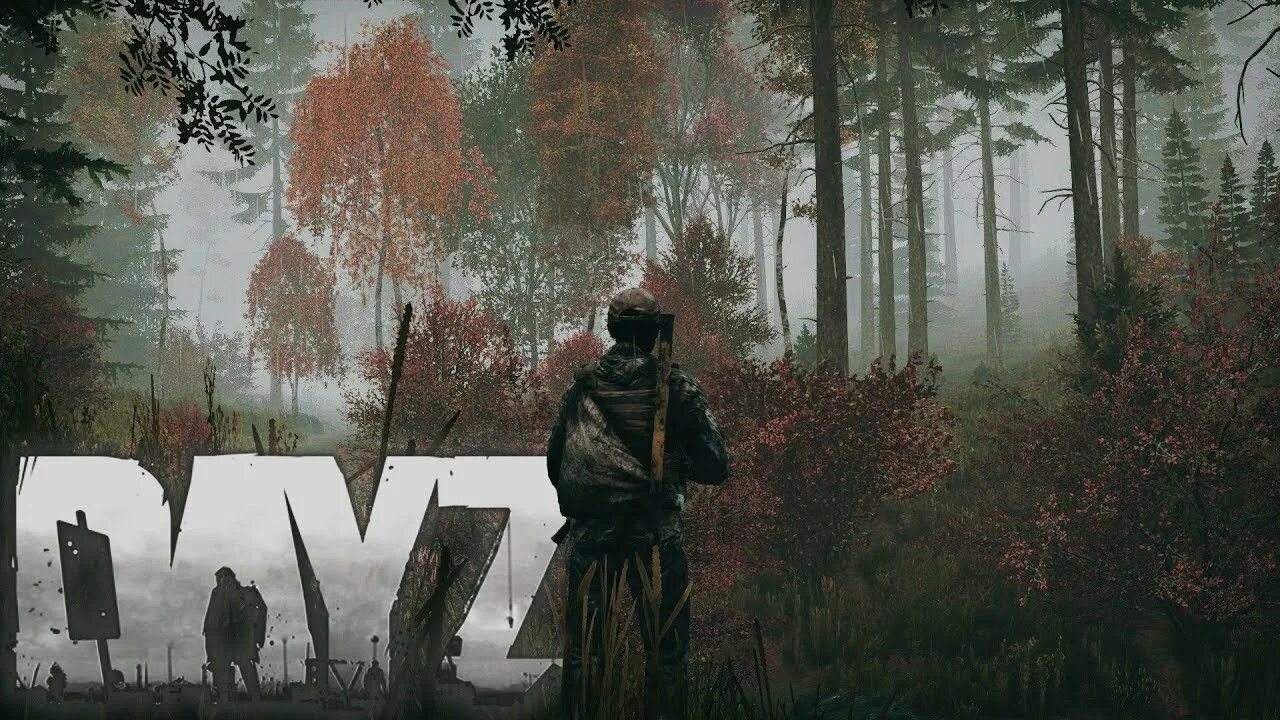 Dayzmap