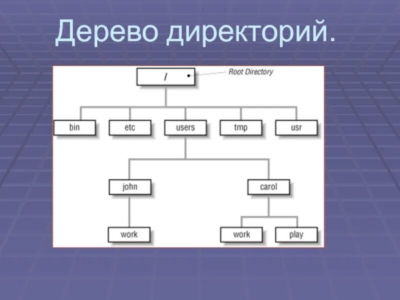 Дерево директорий. Древообразная модель директорий.. Svg дерево директорий. Графическое расположения дерево директорий. Type directory