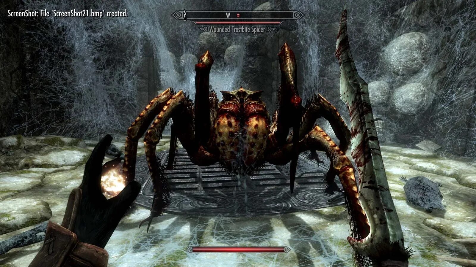 Скайрим мод пауки. Ретекстур пауков скайрим. Скайрим мод пауки. Скайрим мод пауки. Гигантский паук ведьмак.