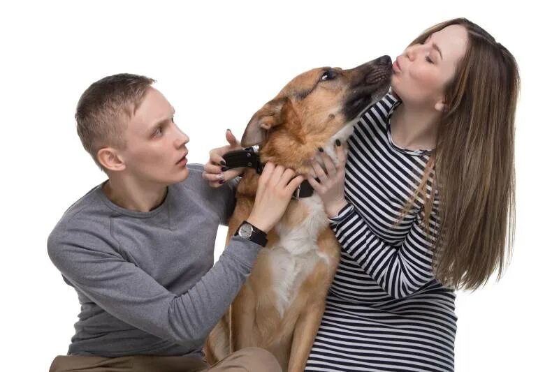 Жена с двумя собаками