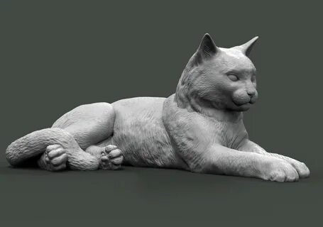 cat 3d printing cat anima 3D print settings Mito3D