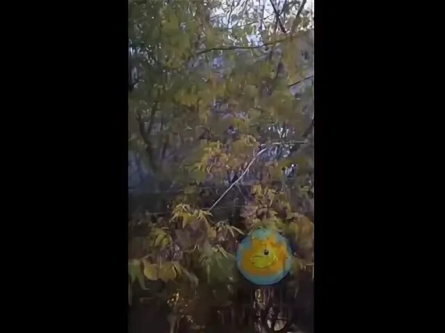 Солнечная сортировка. Солнечная сортировка