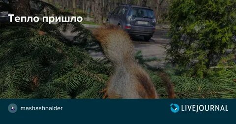 Когда будет терло