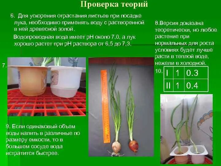 Проект: "Лук - от семи недуг"