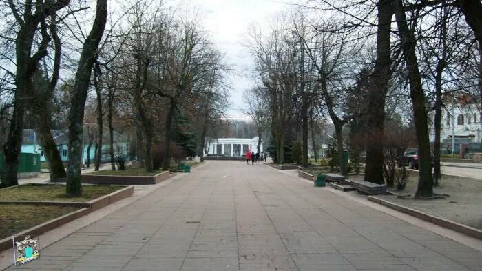 Бульвар зеленая роща. Житомир бульвар пушкина. житомир бульвар. зелёный бульвар, 18.