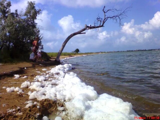 Озеро мойнаки в евпатории фото swimming-in-the-lake-moinakskoye Остров Крым
