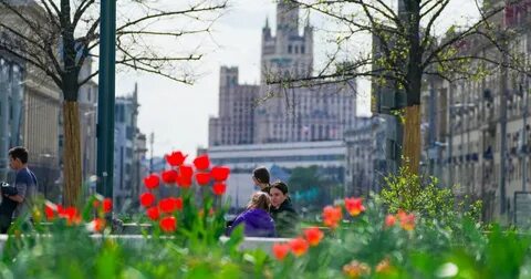 Начало мая в москве
