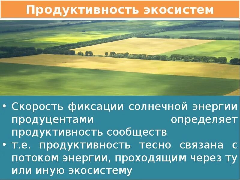 Последовательность увеличения биологической продуктивности природных зон. Продуктивность экосистем. Продуктивность биогеоценоза. Первичная продуктивность экосистемы. Агроэкосистемы презентация.