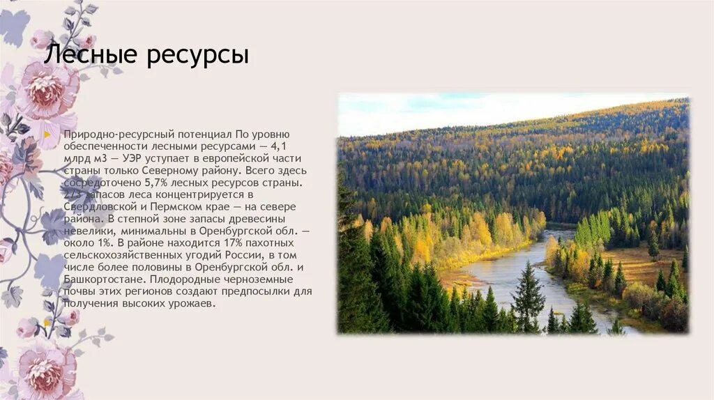 Богатство северного края. Лесные природные ресурсы. Природные богатства леса. Второстепенные Лесные ресурсы. Богатство северных лесов.