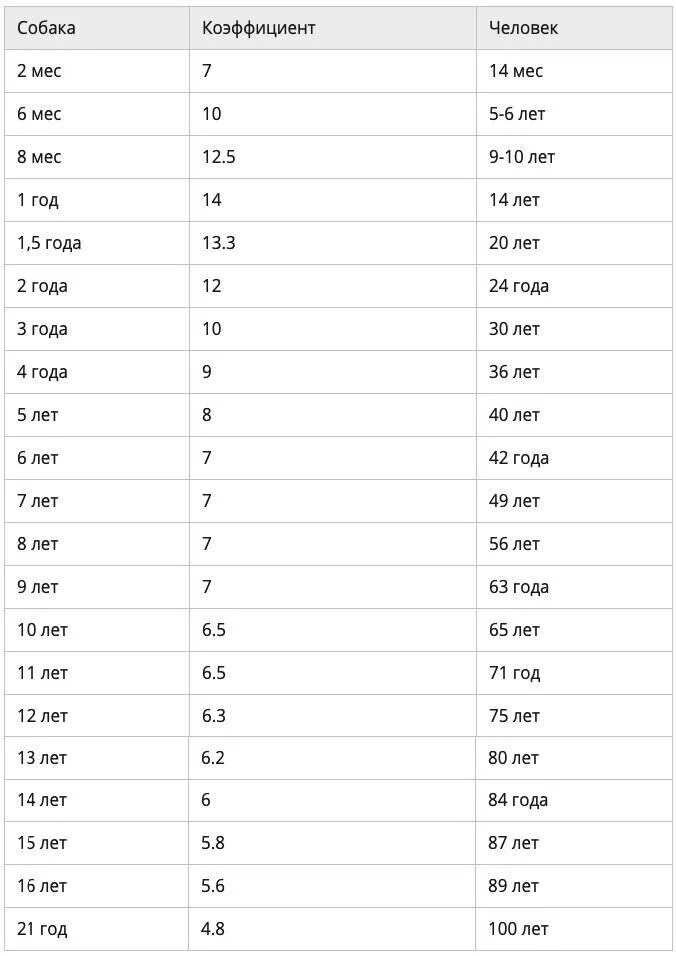 Возраст собаки 3 месяца по человеческим меркам таблица. 5 Месяцев собаке по человеческим меркам это сколько лет. Собаке 2 года сколько по человеческим меркам таблица. 4 Месяца собаке по человеческим меркам это сколько лет таблица.