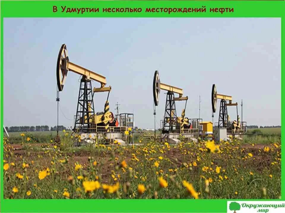 Гремихинское месторождение нефти Удмуртия. Нефтедобыча в Удмуртии. Чутырское месторождение Удмуртия. Красногорское месторождение нефти Удмуртия.