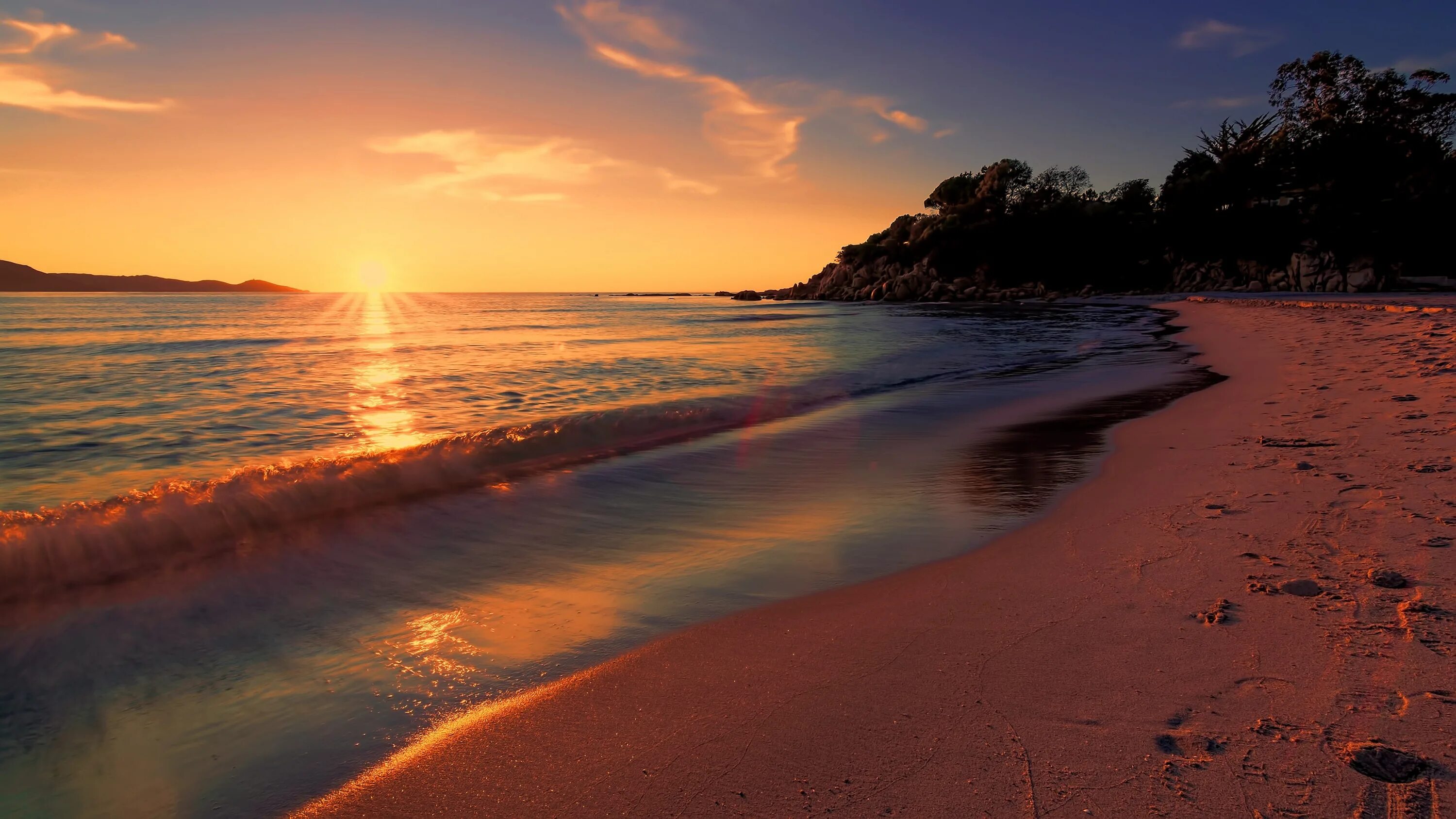 Beach full