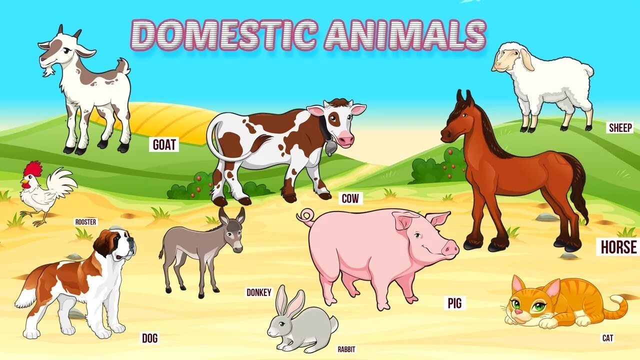 Домашние животные на англ. Картинки домашних животных для детей. Домашние животные для дошкольников. Домашние животные картинки для детей. Домашние животные на английском.