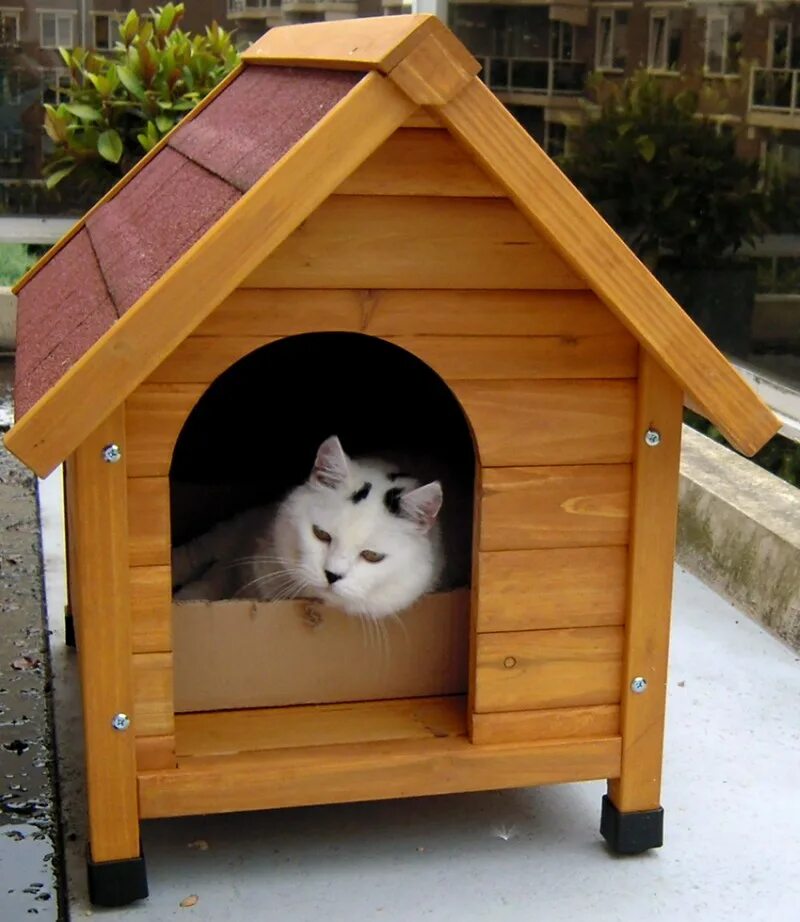 Домик для кошки уличный теплый. Жилище кошки. Cat in a cat house. Жилище кошки. Домик для кошек.
