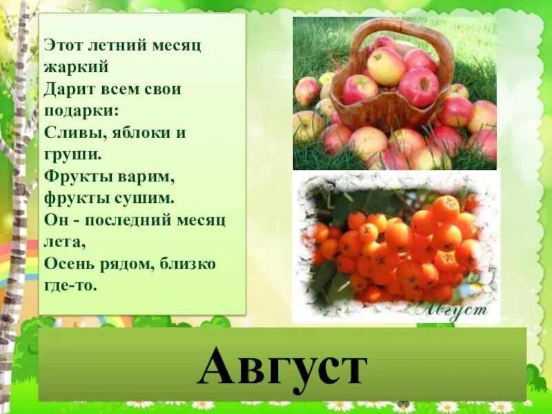Деревенский яблоневый сад. Август природа. Интересное про август. Щедрая осень. Осень фрукты.